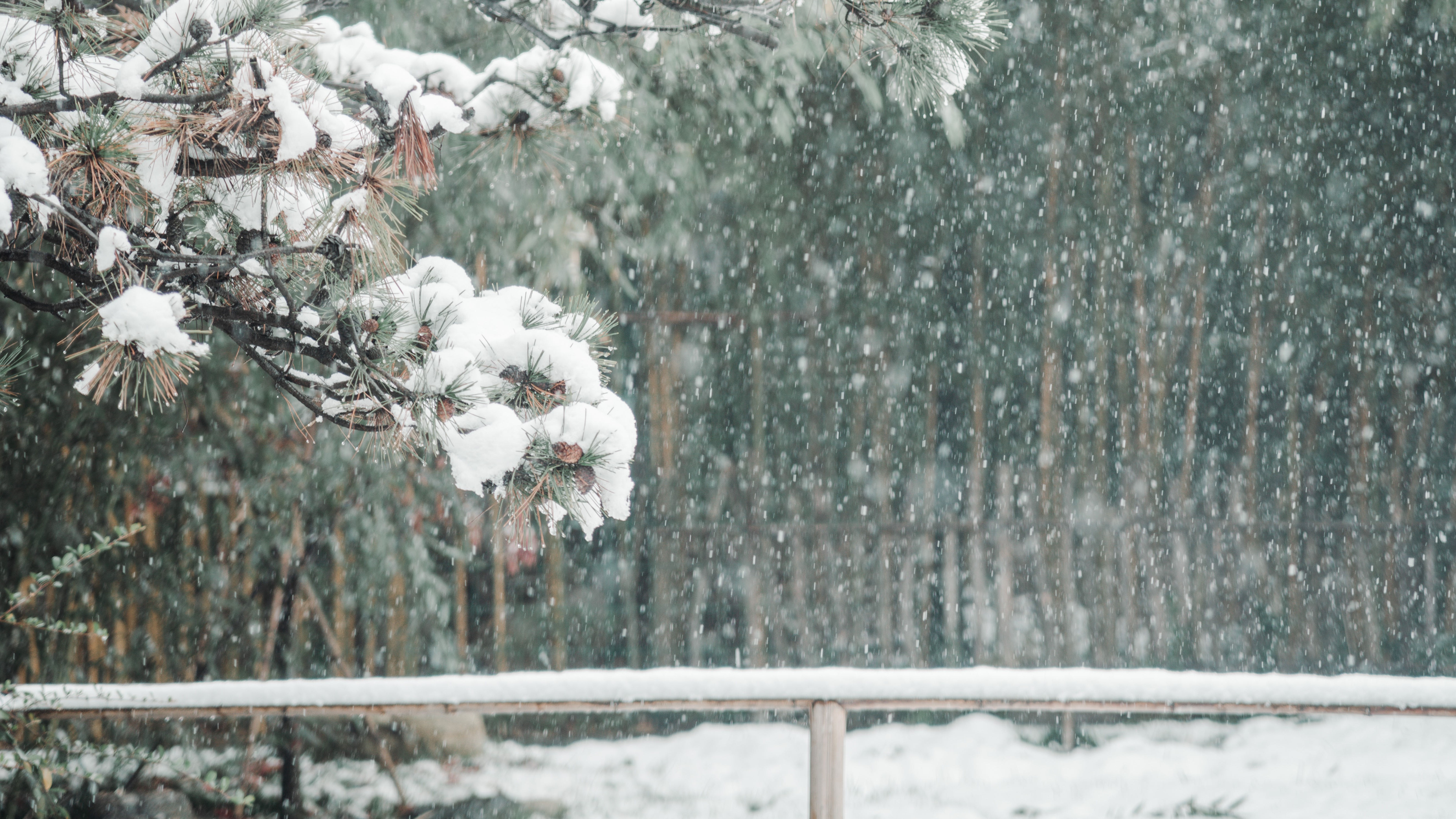 古观音禅寺的雪景